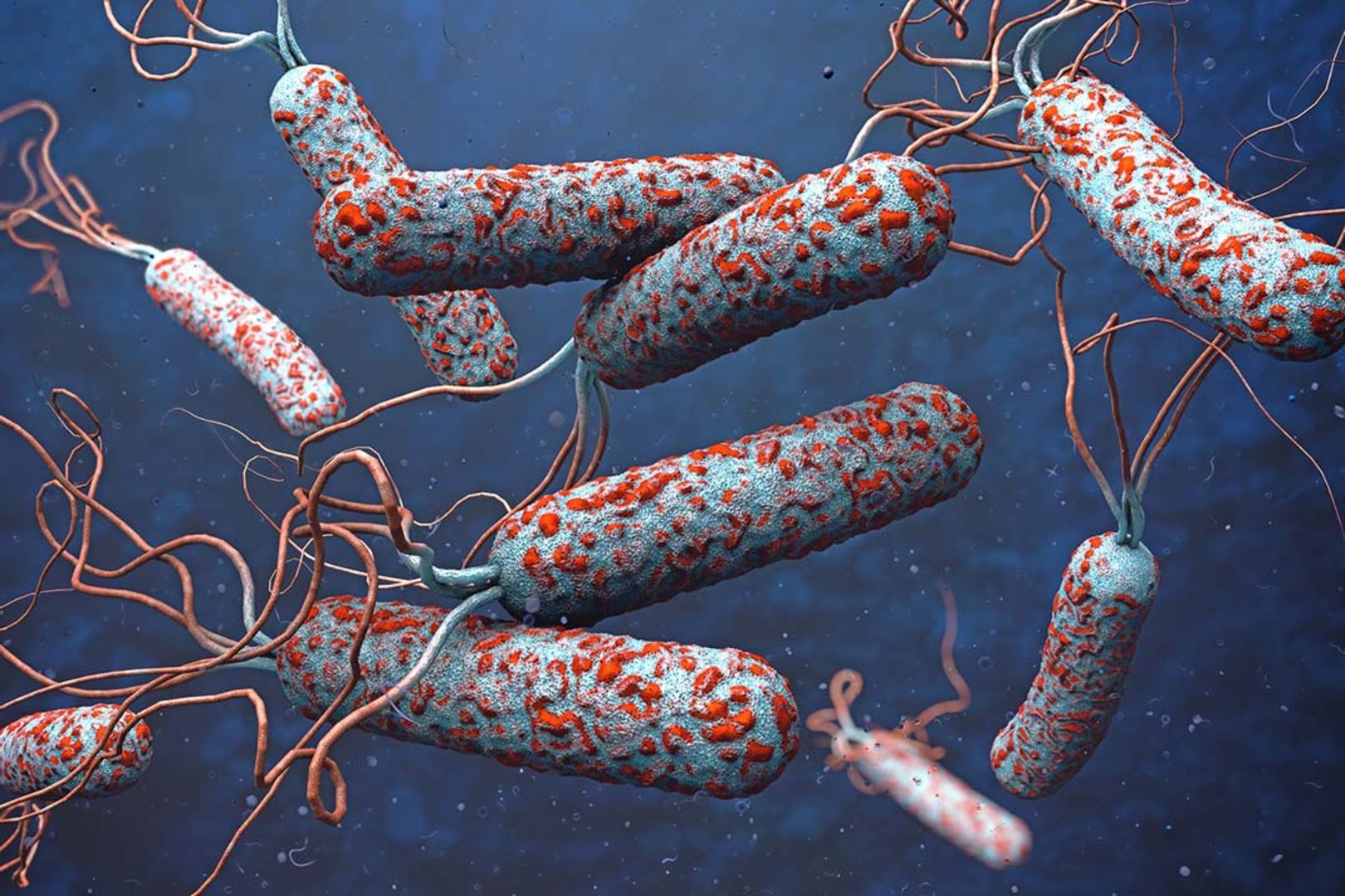 South Africa Remains On High Alert Of Possible Imported Cholera Cases.