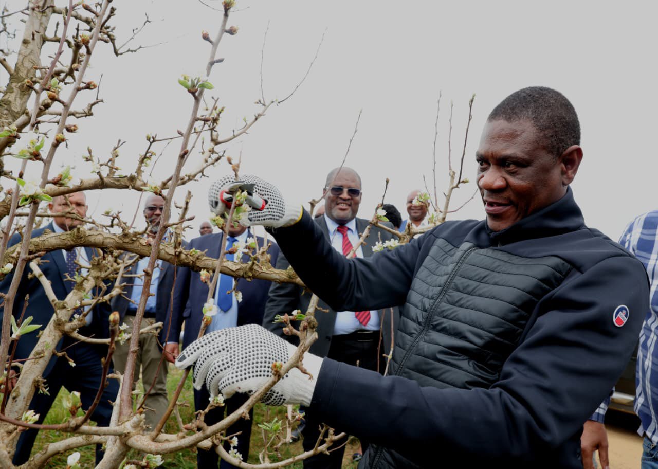 Mashatile Calls on Commercial Farmers to Partner with Government on Land Reform.