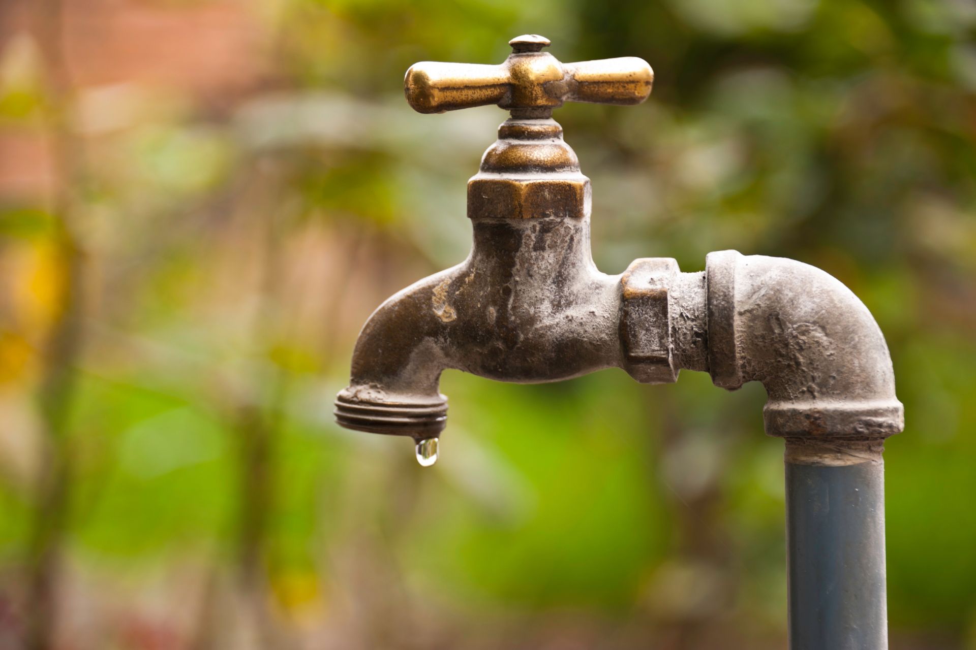 Taps Run Dry as MK Women’s League Slams Government Over Water Crisis.
