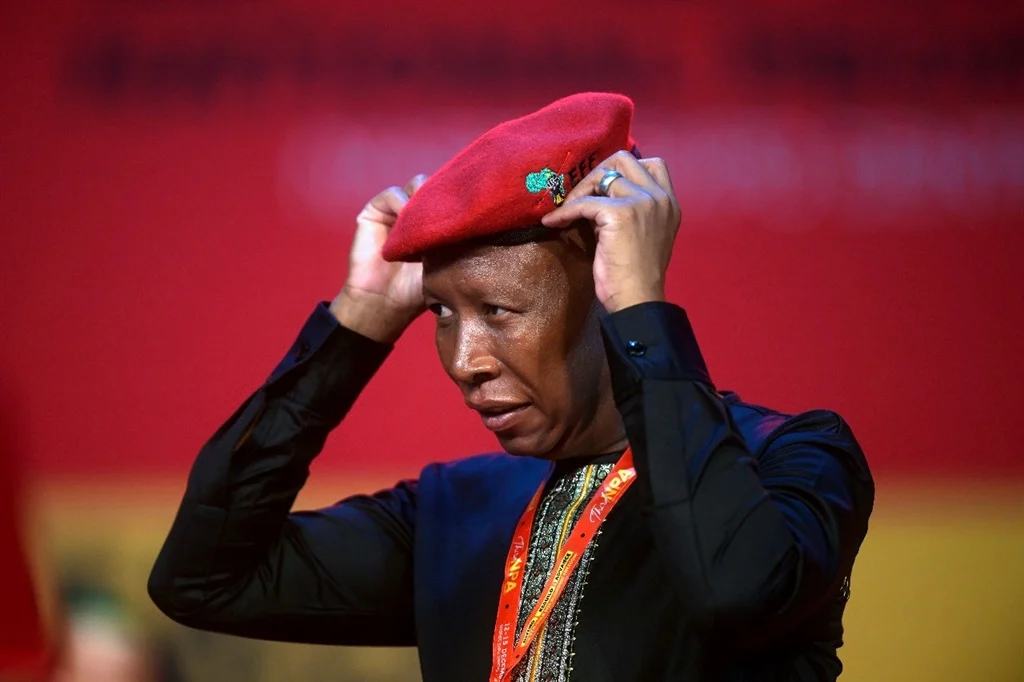 Malema calls for Mchunu’s removal as Ad Hoc Committee probes law enforcement ‘capture’