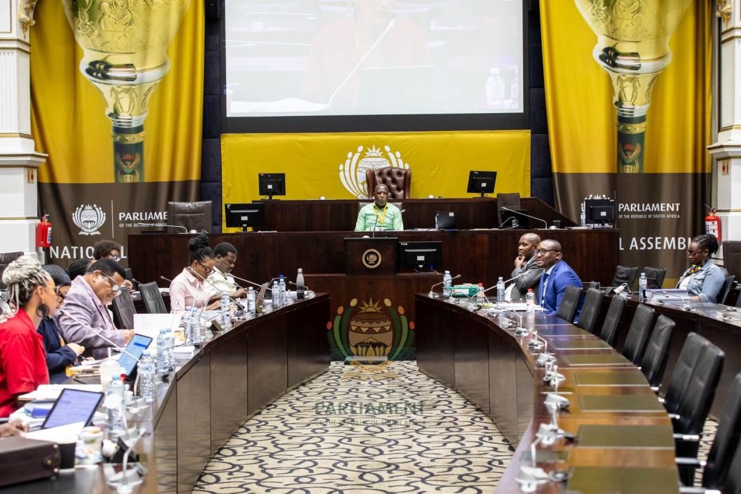 Mkhwanazi Allegations: Parliament Committee Finalises Investigation.