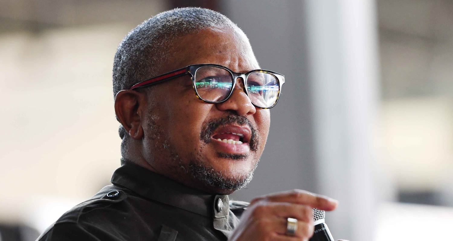 Mbalula: Economic power still uneven despite post-1994 gains.