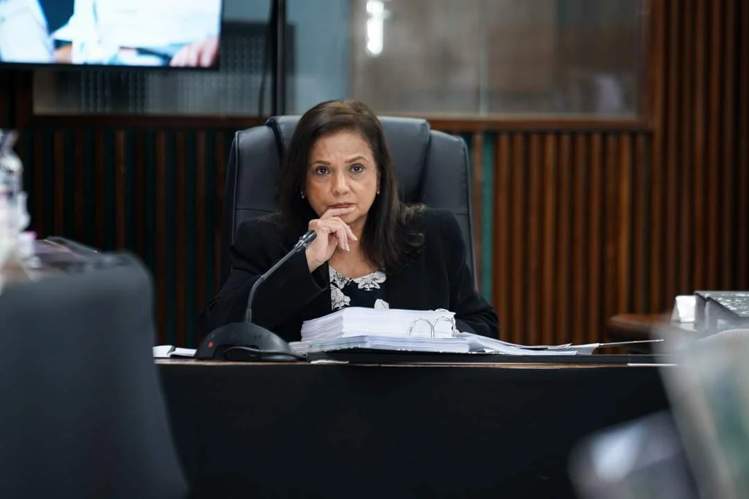 Batohi withdraws from Nkabinde Inquiry after legal consultation dispute
