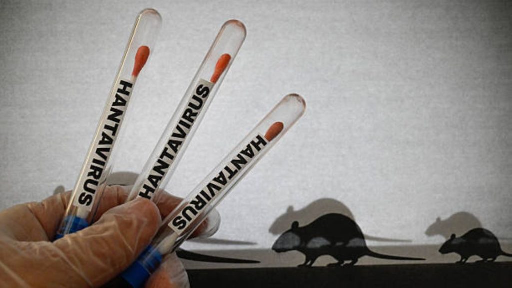 Motsoaledi Urges Calm as Authorities Monitor Hantavirus Exposure Linked to Airlink Flight