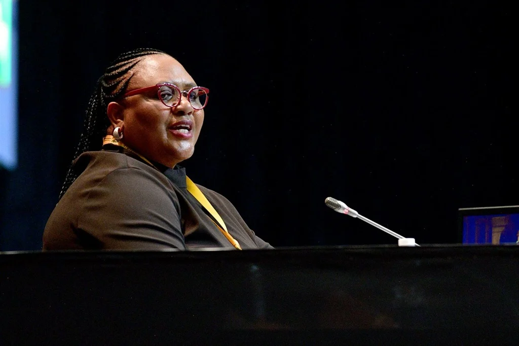 Didiza Urges Parties to Finalise Phala Phala Committee Nominations