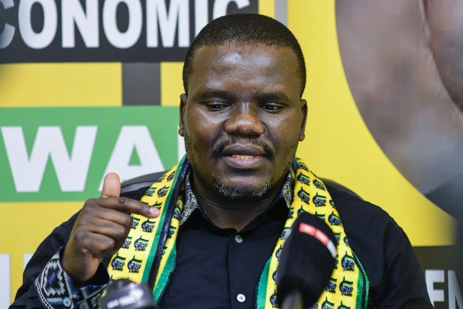 Ntuli: Illegal Immigration Must Be Addressed Through Rule of Law
