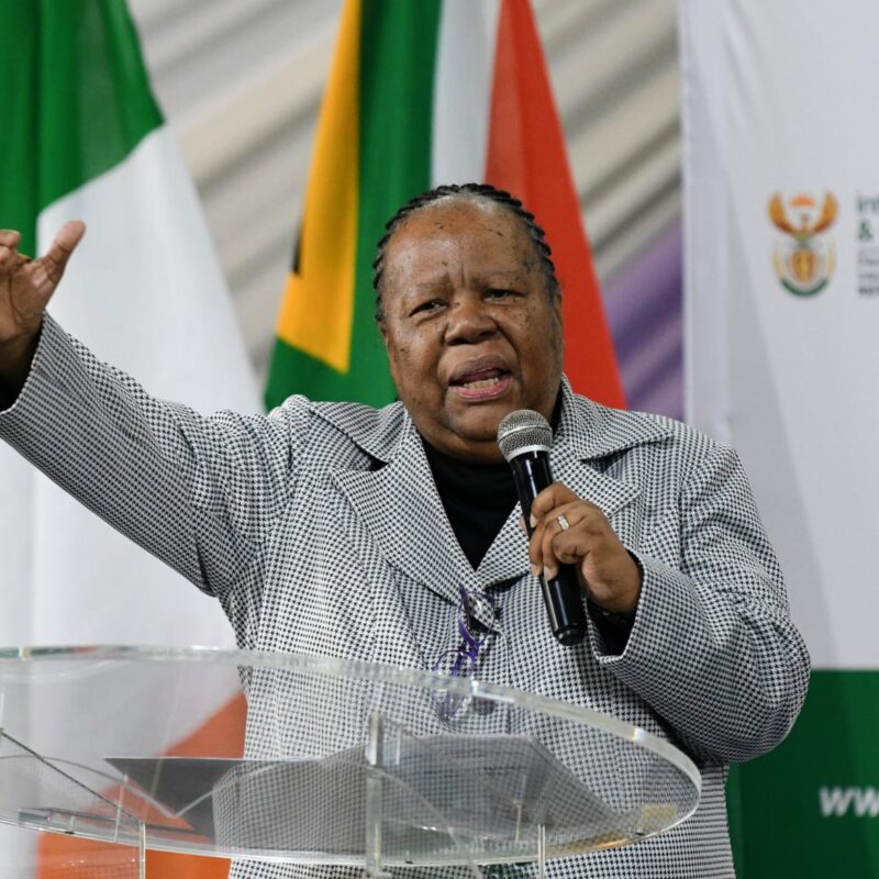 Fomer Minister of International Relations, Naledi Pandor.