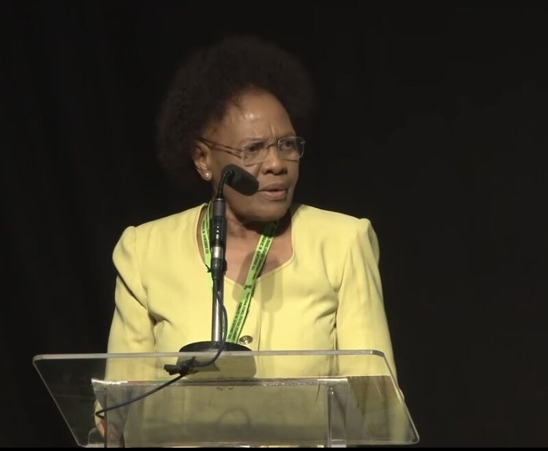 Advocate Zama delivering an address